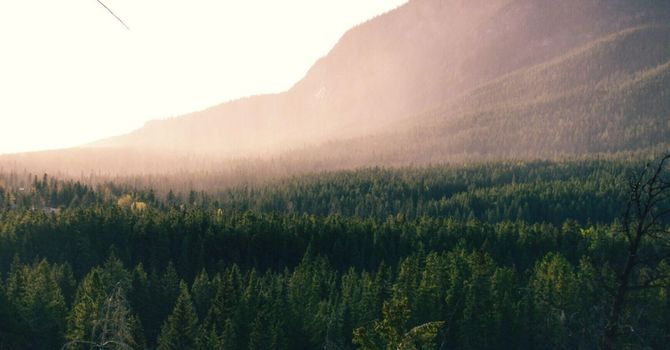 Clinical Supervision