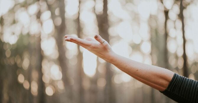 Trans, Gender-Affirming and 2SLGBTQIA+ Services