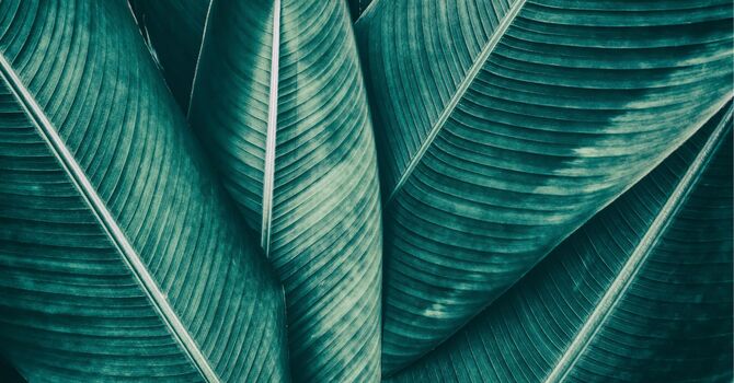 Individual Counselling-In Person sessions